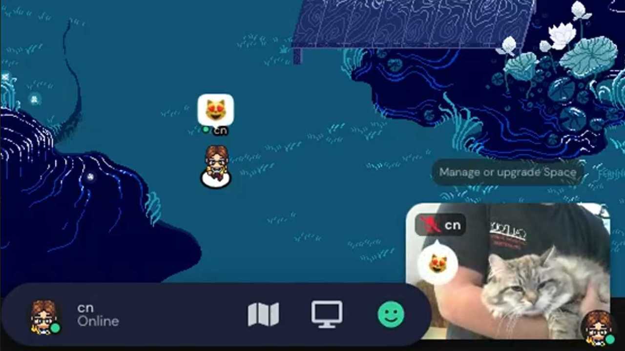 A zoomed in view of the Gather moon pond Space, with a video preview showing someone holding a cat. The avatar on the Map has a cat emoji above their head. 
